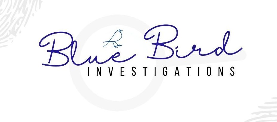 Private Investigation Services